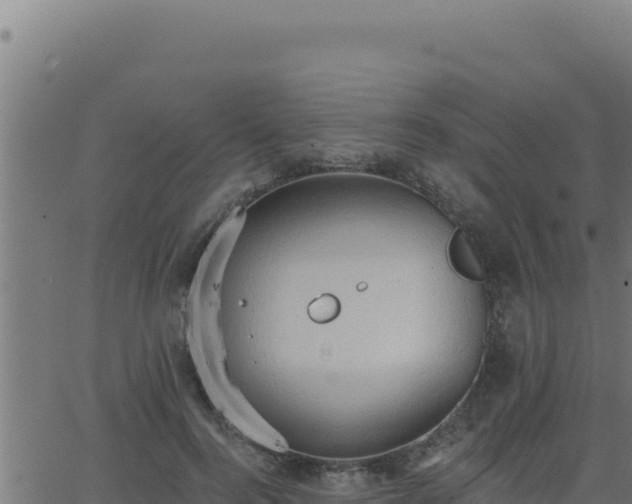 X0000062890744200601171513