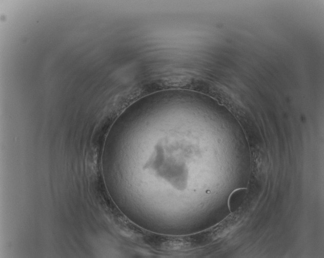 X0000062890745200601171513