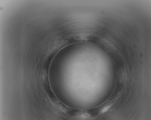 X0000062890747200601171513