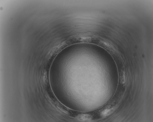 X0000062890748200601171513