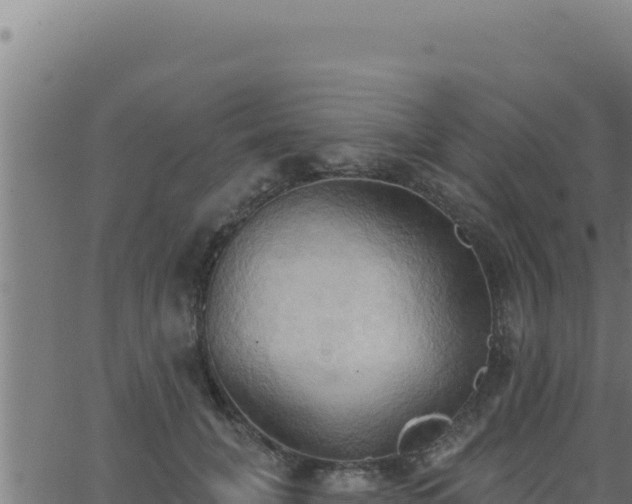 X0000062890751200601171513