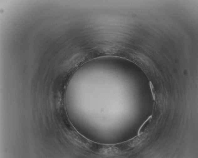 X0000062890752200601171513