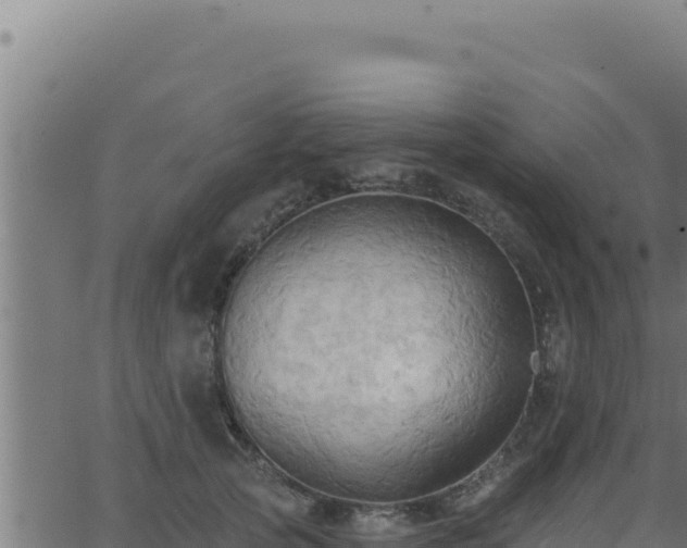 X0000062890753200601171513