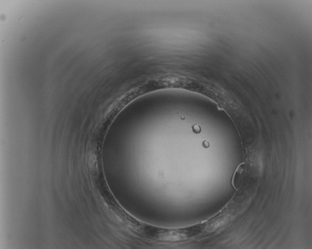 X0000062890754200601171513