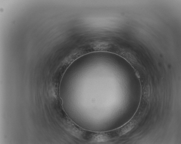 X0000062890755200601171513