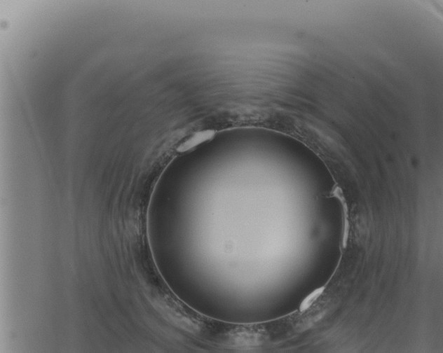 X0000062890756200601171513