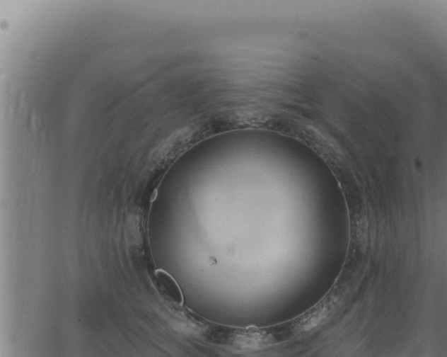 X0000062890757200601171513