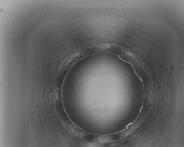 X0000062890758200601171513