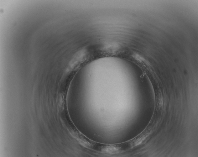 X0000062890759200601171513