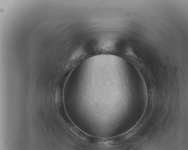 X0000062890760200601171513