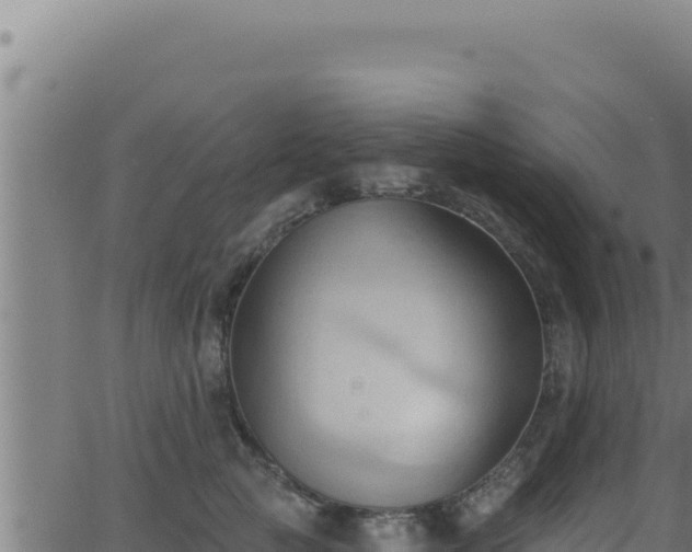 X0000062890761200601171513