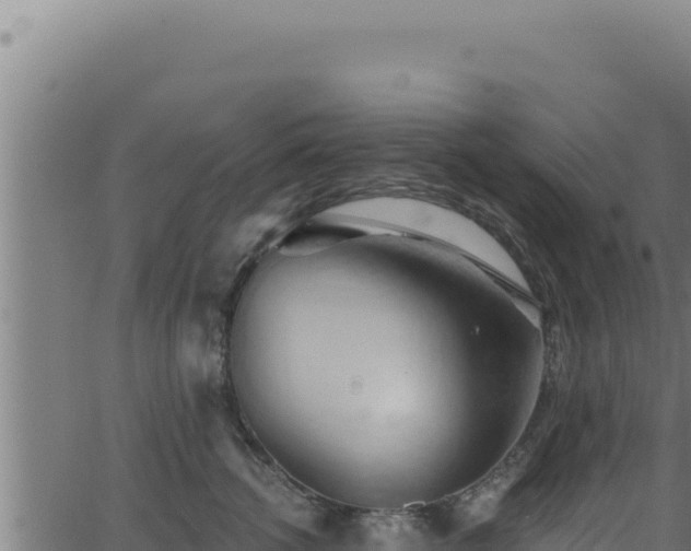 X0000062890762200601171513