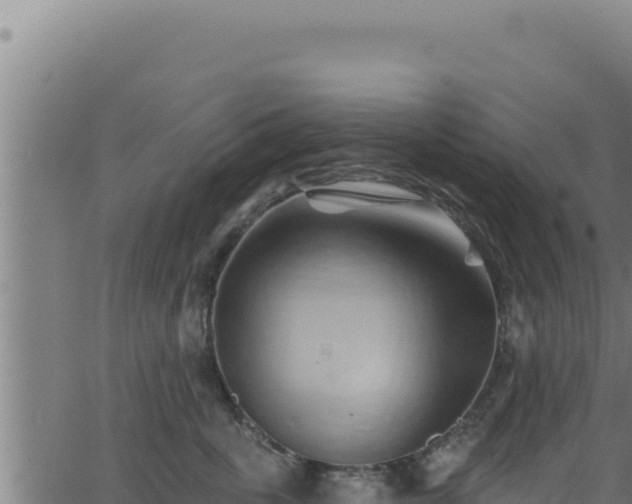 X0000062890763200601171513