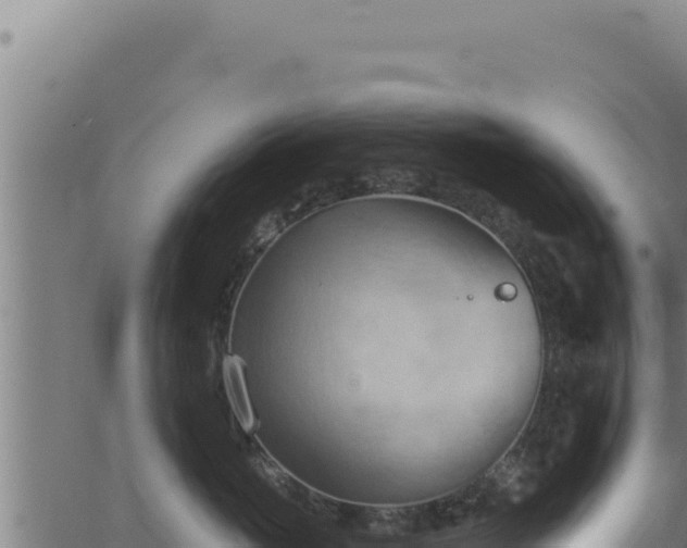 X0000062890765200601171513