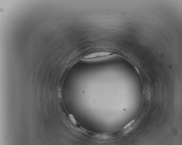 X0000062890766200601171513