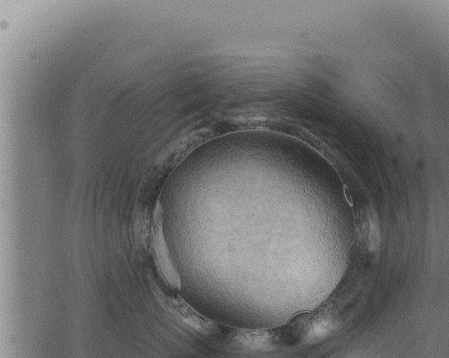 X0000062890767200601171513