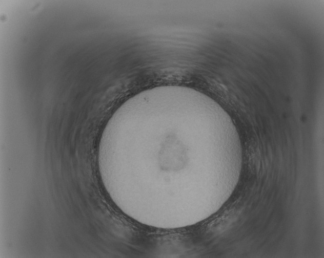 X0000062890769200601171513