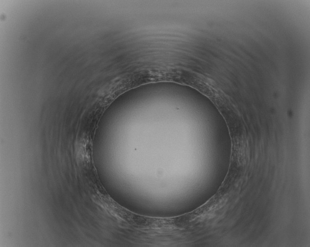 X0000062890770200601171513