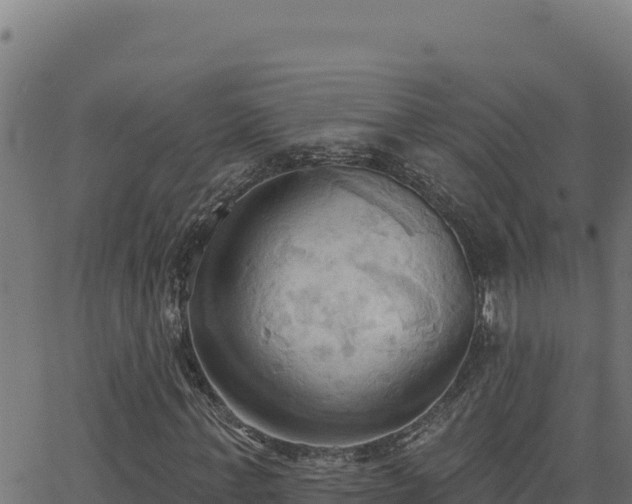 X0000062890771200601171513