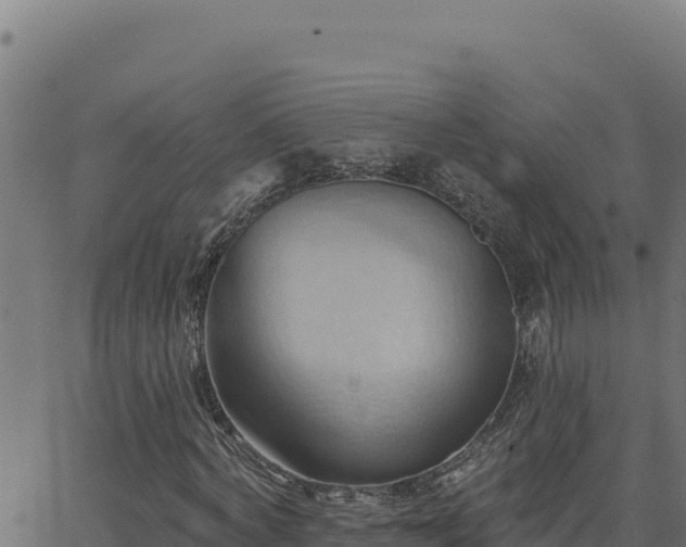 X0000062890772200601171512