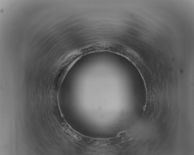 X0000062890773200601171512