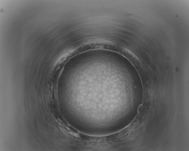 X0000062890775200601171512