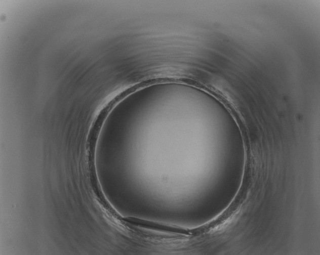 X0000062890779200601171512