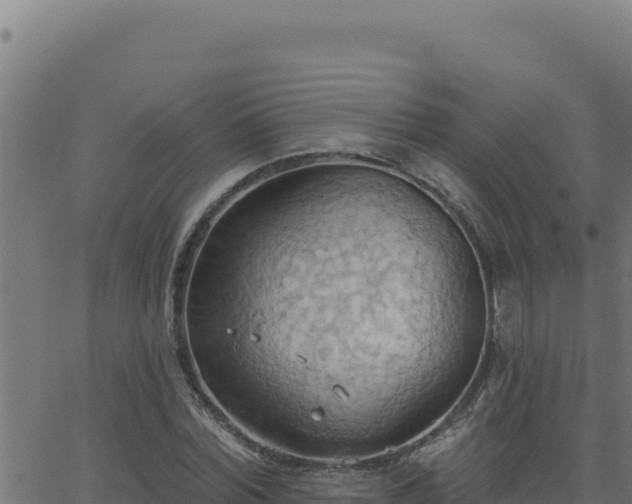 X0000062890780200601171512