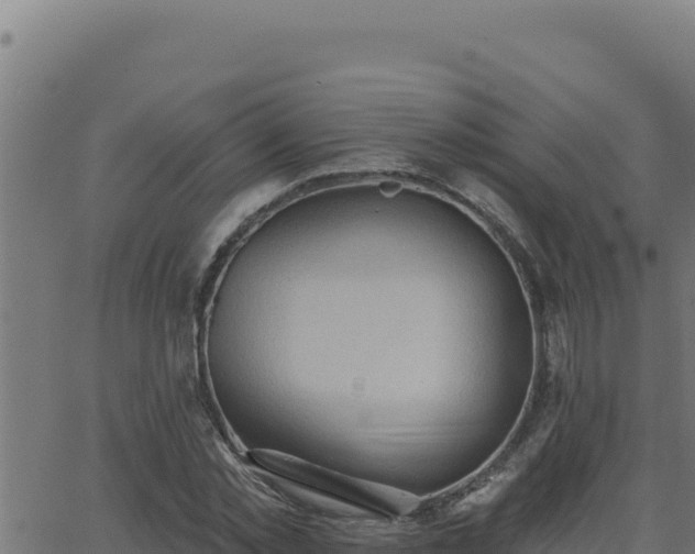 X0000062890781200601171512