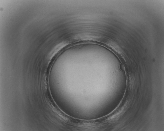 X0000062890782200601171512