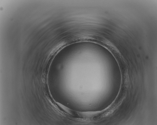 X0000062890785200601171512