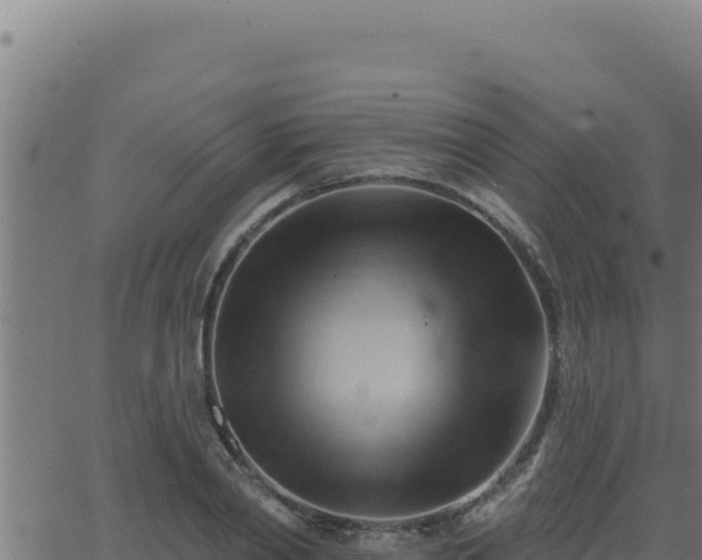 X0000062890790200601171512