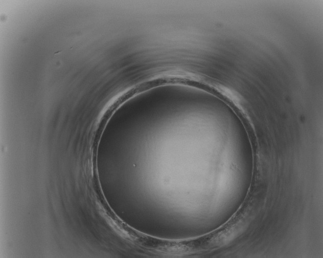 X0000062890791200601171512