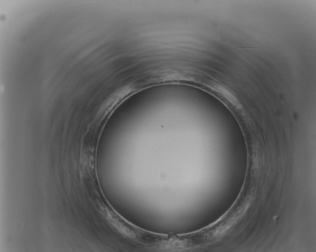 X0000062890793200601171512