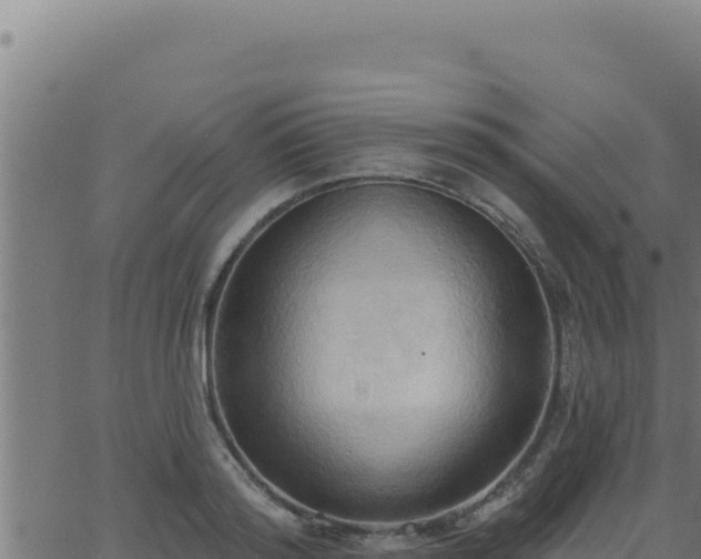 X0000062890796200601171512