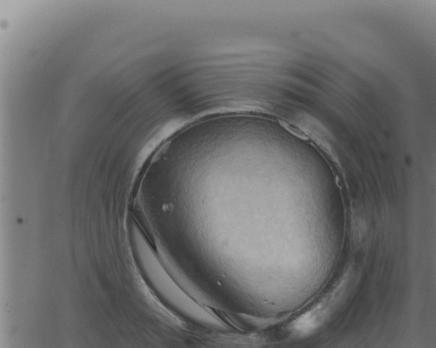 X0000062890797200601171512