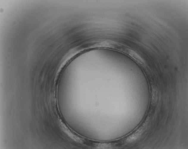 X0000062890800200601171512