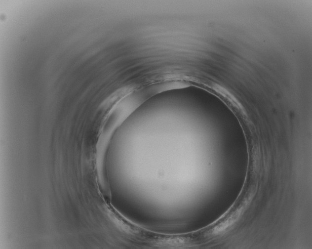 X0000062890801200601171512