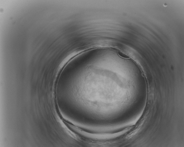 X0000062890803200601171512