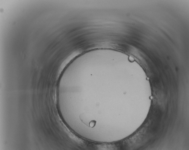 X0000062890804200601171512