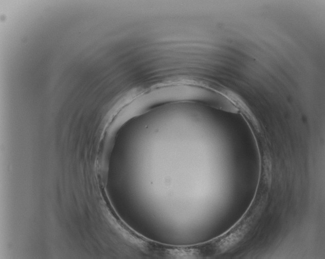 X0000062890805200601171512