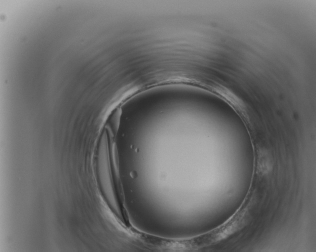 X0000062890806200601171512