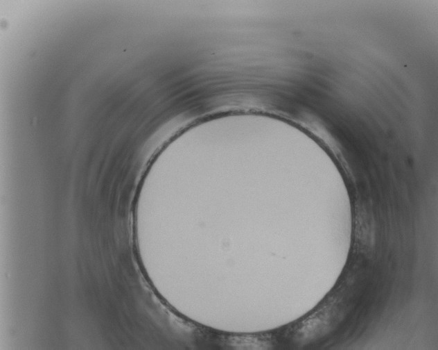 X0000062890807200601171512