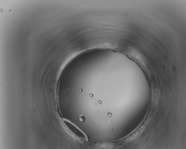 X0000062890808200601171512