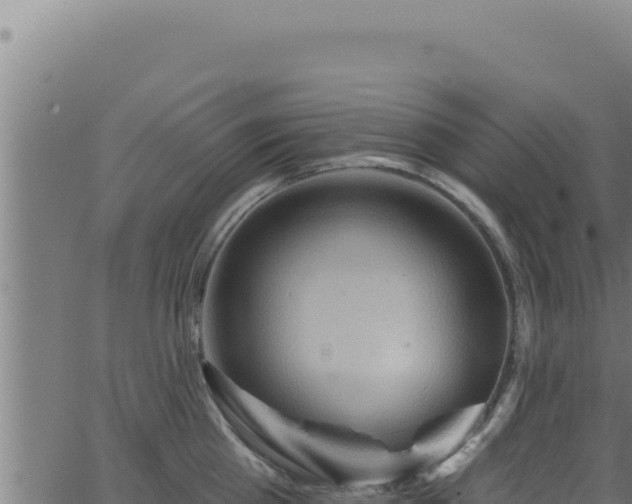 X0000062890809200601171512