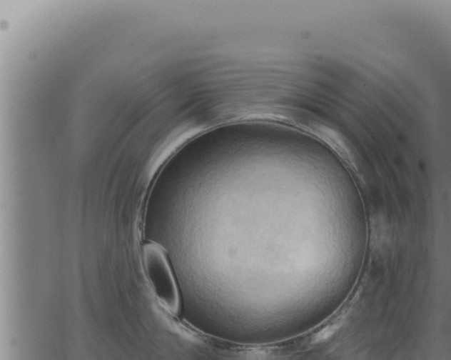 X0000062890814200601171512