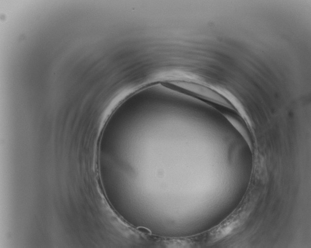 X0000062890815200601171512