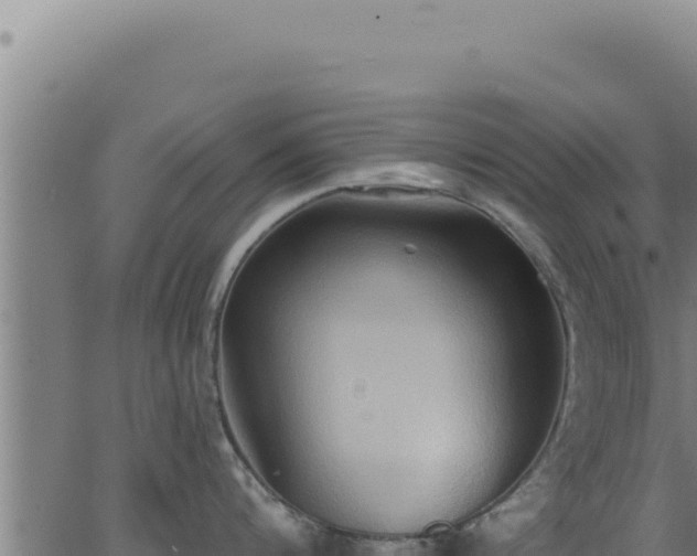 X0000062890816200601171512