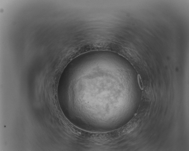 X0000062890817200601171511