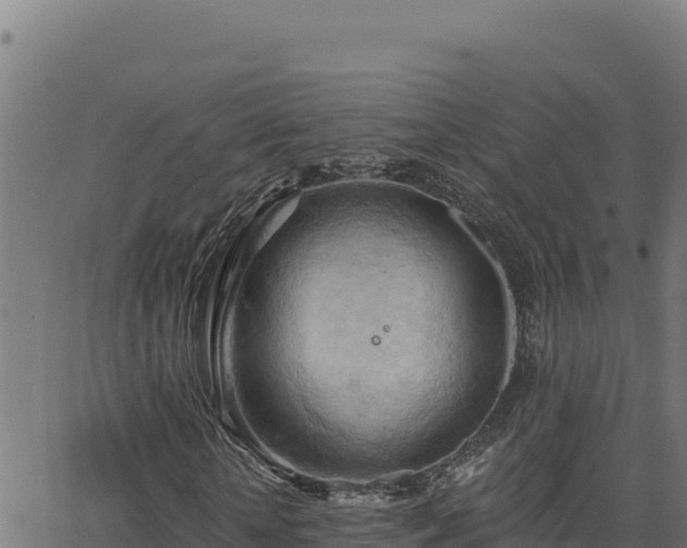 X0000062890818200601171511